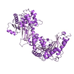 Example Structure of taurocyamine kinase EC#: 2.7.3.4