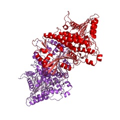 Example Structure of polyphosphate kinase EC#: 2.7.4.1