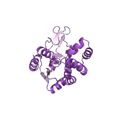 Example Structure of nucleoside-triphosphate-adenylate kinase EC#: 2.7.4.10