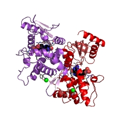 Example Structure of (deoxy)nucleoside-phosphate kinase EC#: 2.7.4.13