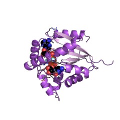 Example Structure of UMP/CMP kinase EC#: 2.7.4.14