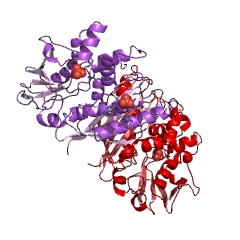 Example Structure of thiamine-phosphate kinase EC#: 2.7.4.16