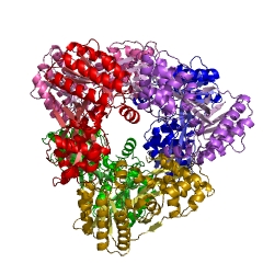 Example Structure of phosphomevalonate kinase EC#: 2.7.4.2