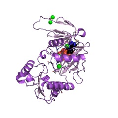Example Structure of inositol-hexakisphosphate kinase EC#: 2.7.4.21