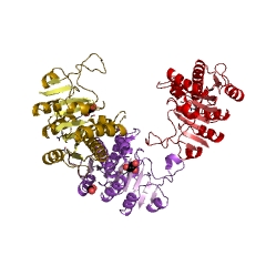 Example Structure of UMP kinase EC#: 2.7.4.22
