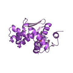 Example Structure of (d)CMP kinase EC#: 2.7.4.25