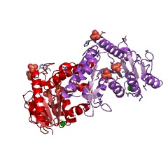 Example Structure of isopentenyl phosphate kinase EC#: 2.7.4.26