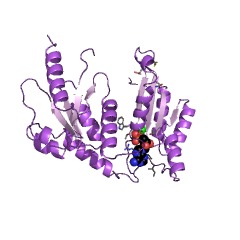 Example Structure of [pyruvate, phosphate dikinase]-phosphate phosphotransferase EC#: 2.7.4.27