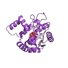 Example Structure of adenylate kinase EC#: 2.7.4.3