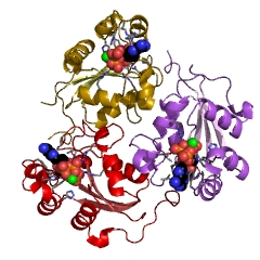 Example Structure of nucleoside-diphosphate kinase EC#: 2.7.4.6