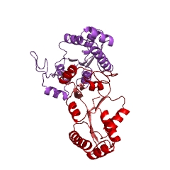 Example Structure of guanylate kinase EC#: 2.7.4.8