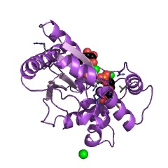 Example Structure of dTMP kinase EC#: 2.7.4.9