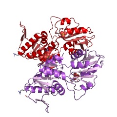 Example Structure of ribose-phosphate diphosphokinase EC#: 2.7.6.1