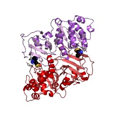 Example Structure of thiamine diphosphokinase EC#: 2.7.6.2