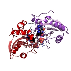 Example Structure of 2-amino-4-hydroxy-6-hydroxymethyldihydropteridine diphosphokinase EC#: 2.7.6.3
