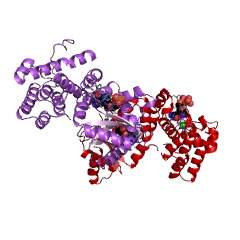 Example Structure of GTP diphosphokinase EC#: 2.7.6.5
