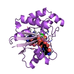 Example Structure of nicotinamide-nucleotide adenylyltransferase EC#: 2.7.7.1