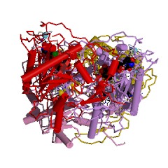 Example Structure of UDP-glucose-hexose-1-phosphate uridylyltransferase EC#: 2.7.7.12