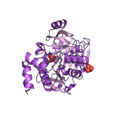 Example Structure of mannose-1-phosphate guanylyltransferase EC#: 2.7.7.13