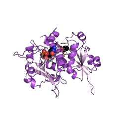 Example Structure of ethanolamine-phosphate cytidylyltransferase EC#: 2.7.7.14