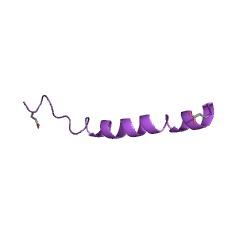 Example Structure of choline-phosphate cytidylyltransferase EC#: 2.7.7.15