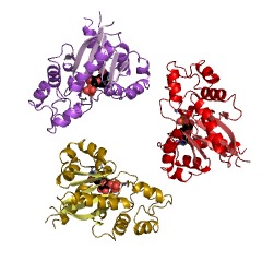 Example Structure of nicotinate-nucleotide adenylyltransferase EC#: 2.7.7.18
