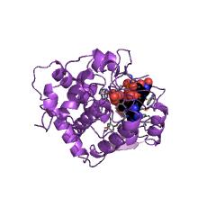 Example Structure of FAD synthetase EC#: 2.7.7.2