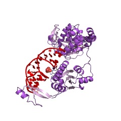 Example Structure of tRNA cytidylyltransferase EC#: 2.7.7.21
