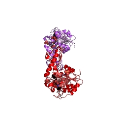 Example Structure of UDP-N-acetylglucosamine diphosphorylase EC#: 2.7.7.23