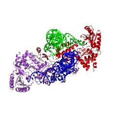 Example Structure of tRNA adenylyltransferase EC#: 2.7.7.25
