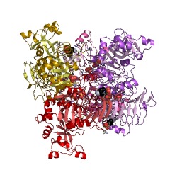 Example Structure of glucose-1-phosphate adenylyltransferase EC#: 2.7.7.27