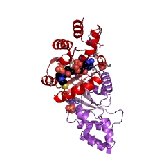 Example Structure of pantetheine-phosphate adenylyltransferase EC#: 2.7.7.3