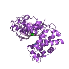 Example Structure of DNA nucleotidylexotransferase EC#: 2.7.7.31