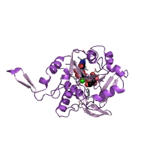 Example Structure of glucose-1-phosphate cytidylyltransferase EC#: 2.7.7.33