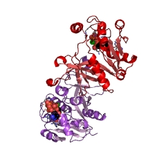 Example Structure of 3-deoxy-manno-octulosonate cytidylyltransferase EC#: 2.7.7.38
