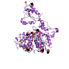 Example Structure of sulfate adenylyltransferase EC#: 2.7.7.4