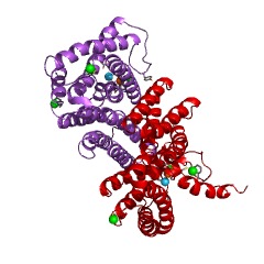 Example Structure of phosphatidate cytidylyltransferase EC#: 2.7.7.41