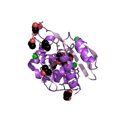 Example Structure of gentamicin 2''-nucleotidyltransferase EC#: 2.7.7.46