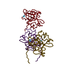 Example Structure of RNA-directed RNA polymerase EC#: 2.7.7.48