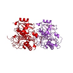 Example Structure of sulfate adenylyltransferase (ADP) EC#: 2.7.7.5
