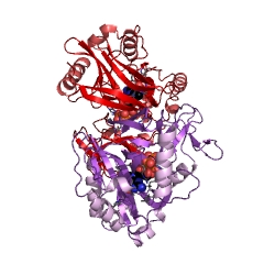 Example Structure of mRNA guanylyltransferase EC#: 2.7.7.50