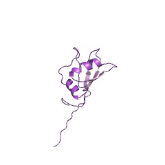 Example Structure of RNA uridylyltransferase EC#: 2.7.7.52