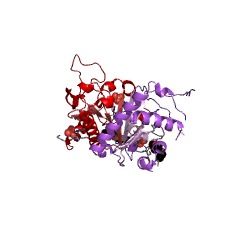 Example Structure of ATP adenylyltransferase EC#: 2.7.7.53