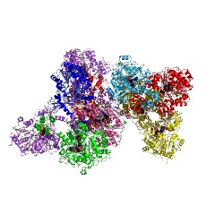 Example Structure of (2,3-dihydroxybenzoyl)adenylate synthase EC#: 2.7.7.58