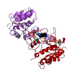 Example Structure of 2-C-methyl-D-erythritol 4-phosphate cytidylyltransferase EC#: 2.7.7.60