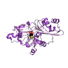 Example Structure of lipoate-protein ligase EC#: 2.7.7.63