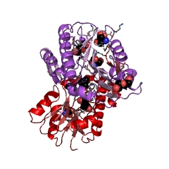 Example Structure of 2-phospho-L-lactate guanylyltransferase EC#: 2.7.7.68