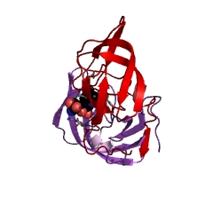 Example Structure of DNA-directed DNA polymerase EC#: 2.7.7.7