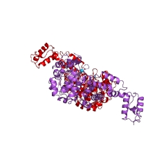Example Structure of CCA tRNA nucleotidyltransferase EC#: 2.7.7.72
