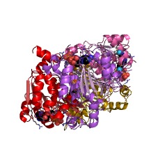 Example Structure of sulfur carrier protein ThiS adenylyltransferase EC#: 2.7.7.73